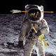 Photo composite: Mike Vago